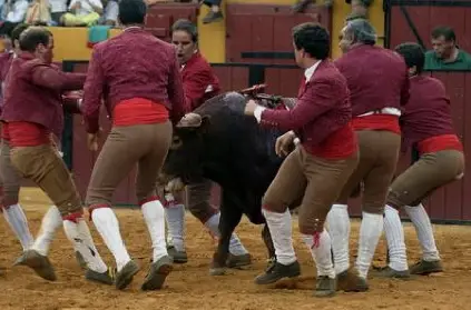 tourada10