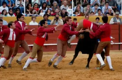 tourada6