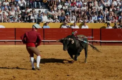 tourada9