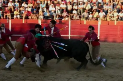 tourda5